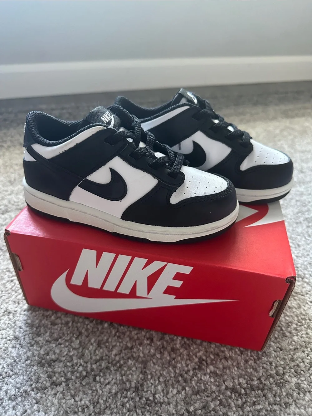 Toddler Nike Dunks